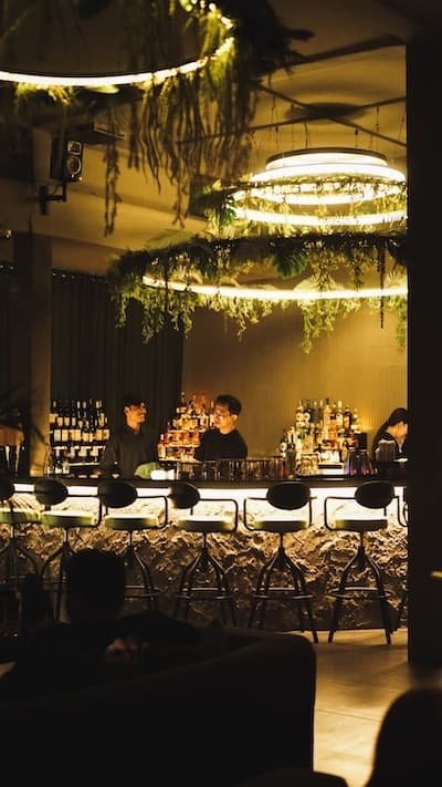 The bar under rings of warm light and hanging greenery